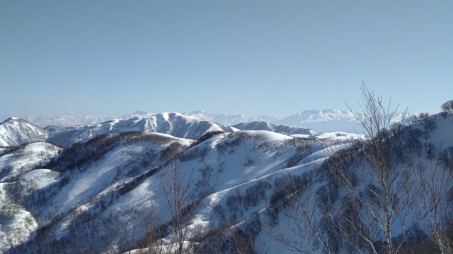 栃谷登山口-片折岳-奥金剛堂山 往復コースの写真