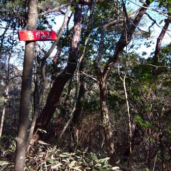なかみ山。何も無かったら、気付かず通り過ぎそう