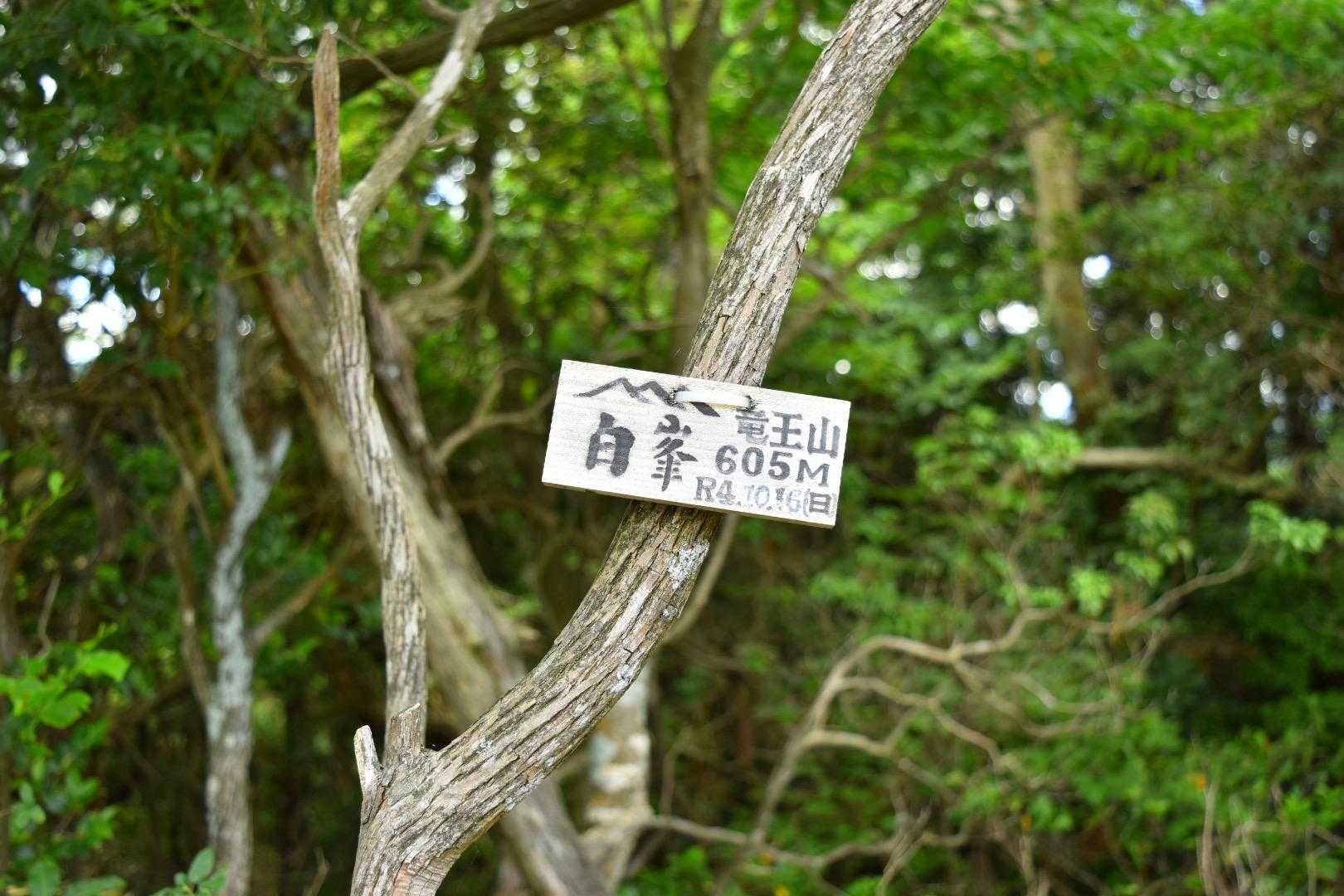 スグに白峯