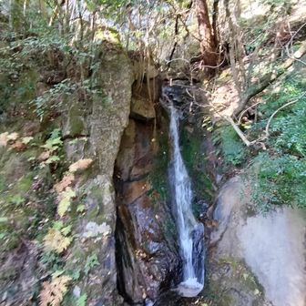 幽明の滝(ゆうみょう)
(雌滝)(第1の滝)
約13.5m