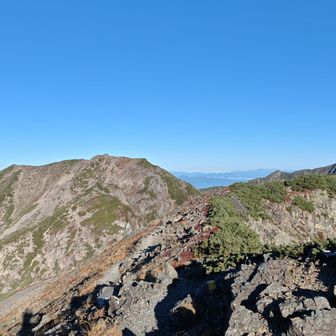 左に西農鳥岳