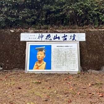 こんな顔まで推定出来るのね😳