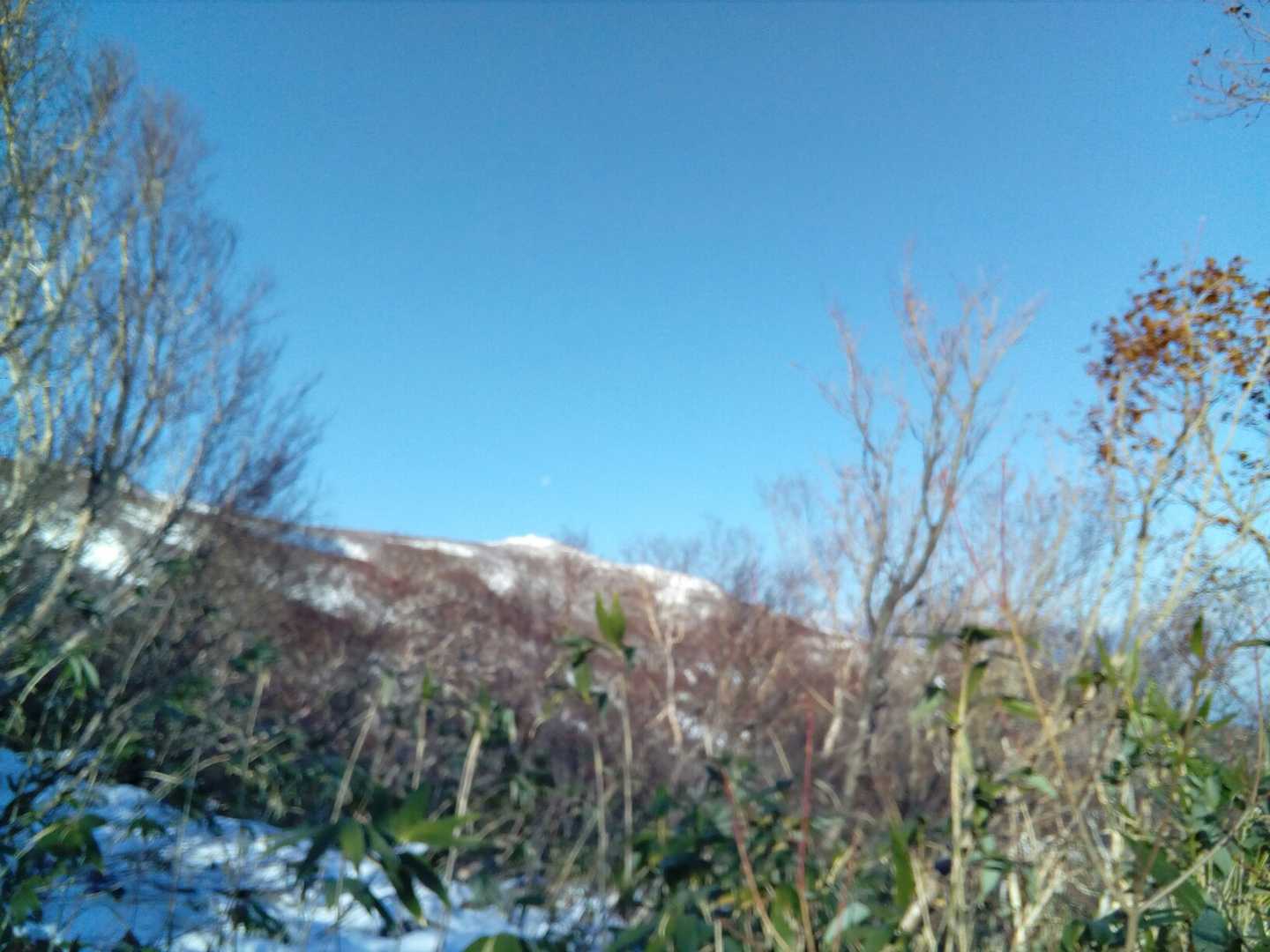 良い天気です😁
