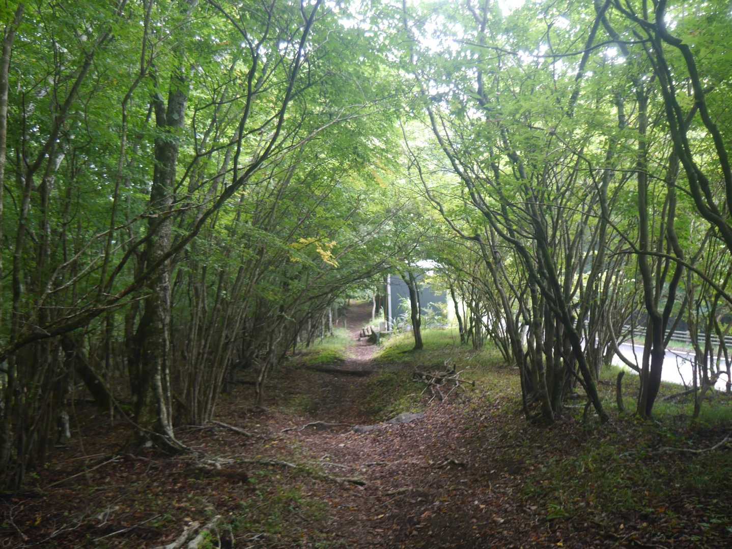 正面撮り忘れたので、振り返ってのトイレ🚻🦟
いつもなら戻って撮るけど、元気なし⤵⤵⤵
体力温存♪