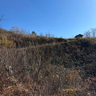 駐車場の小屋がみえたー