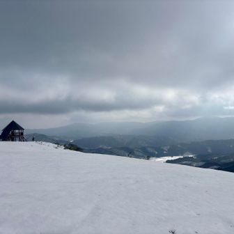 展望所ブルーとはいきませんでした