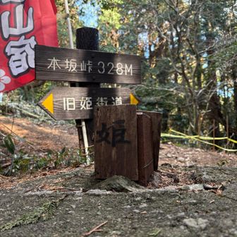姫街道の本坂峠
東海道のバイパスにあたるのかな？
浜名湖を通る東海道よりも安全だったとか
女性や大名行列が好んで通ったそう
