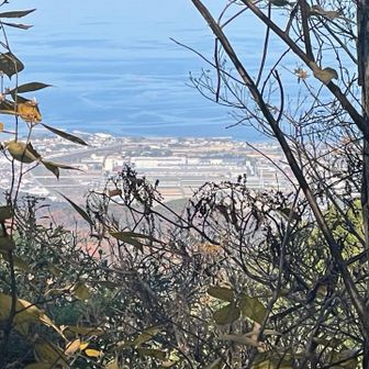 引田のジェイテクトの工場かな？

瀬戸内海もすぐそこ👀

今日歩いた区間の縦走路
徳島側の展望は皆無

香川側は
引田〜白鳥のまちや山が
木々の間から
時々チラリと見えました
