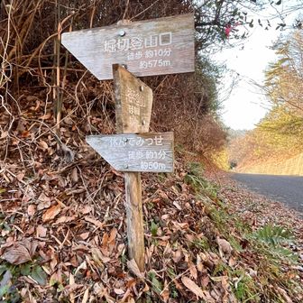 登山口の向かい側に、「休んでみっせ」🤔
徒歩1分なので寄ってみます。