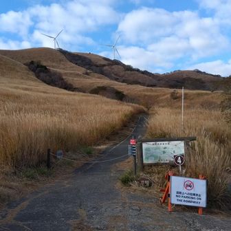 吹きっさらしなので、風がダイレクト