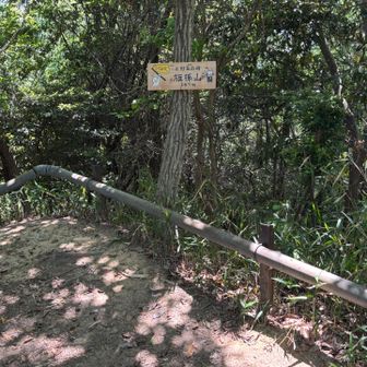 旗振山山頂✨展望無し、交野最高峰345
ここで地元の方に会い交野山・旗振山・龍王山が交野三山と教えて貰い龍王山も行く事にする