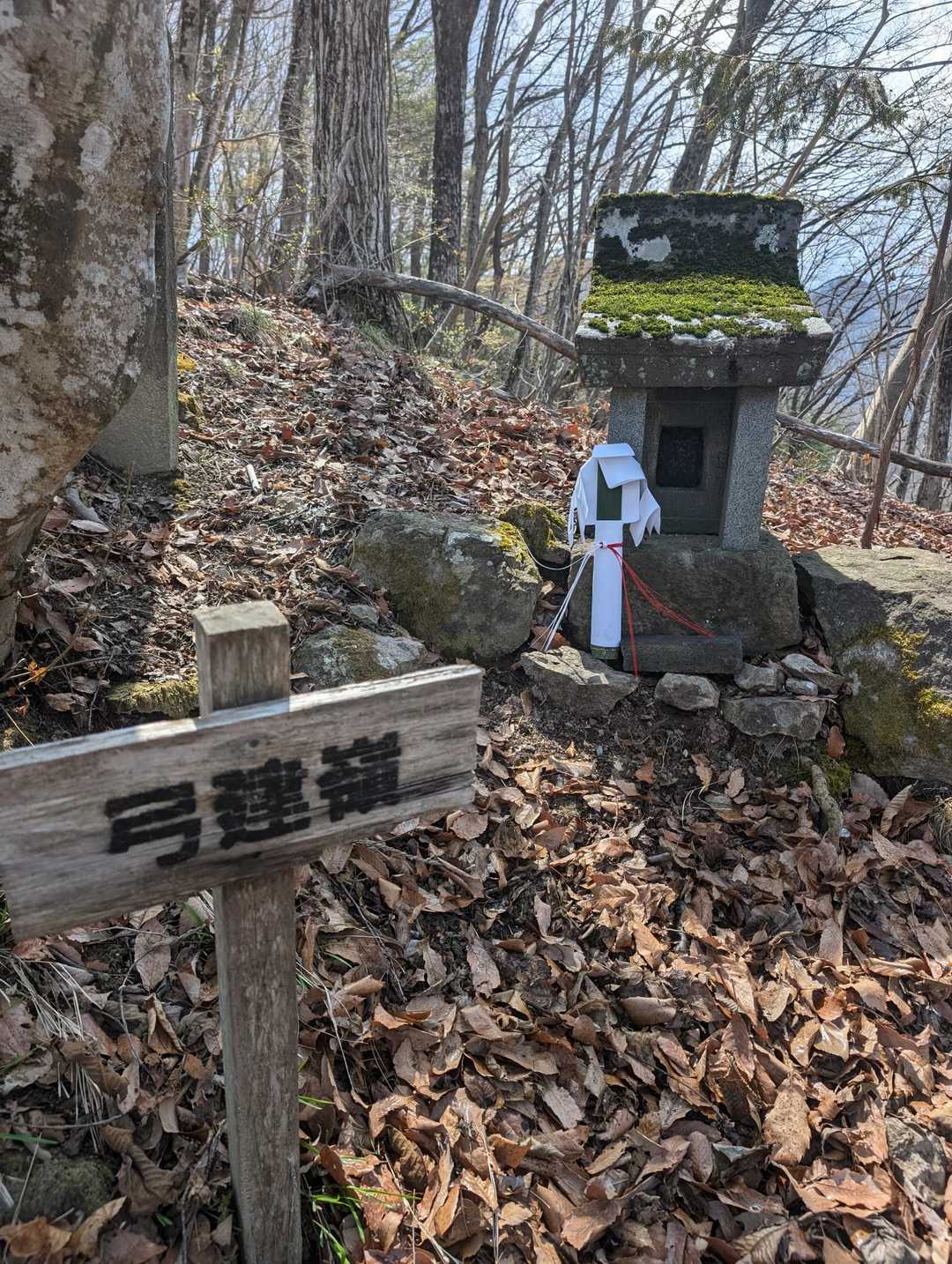 浅間山-桜峠-弓建嶺-三ッ俣尾山 往復コースの写真