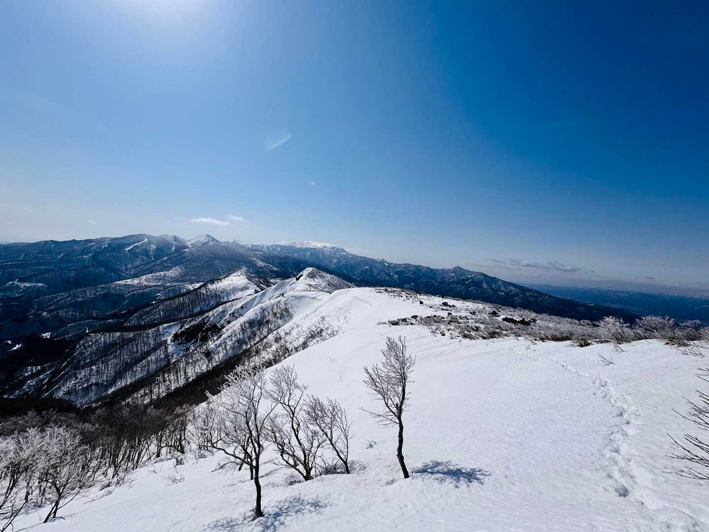 また振り向く(˶ᐢᗜᐢ˶)
何度も振り向く(*>▽<*)