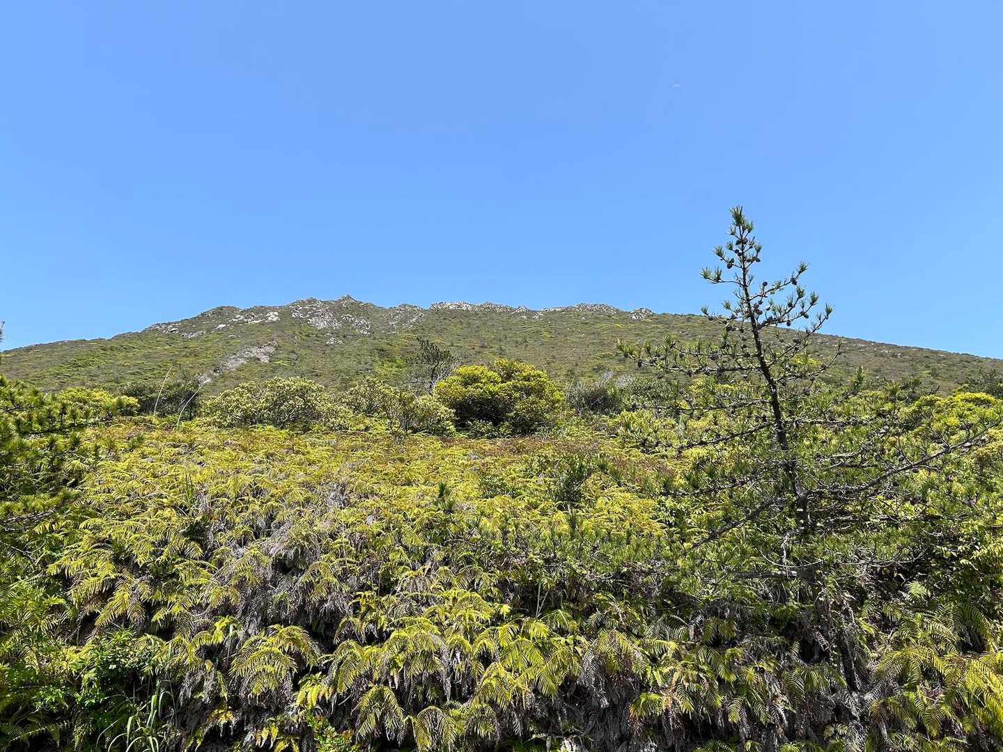 天上山⛰️