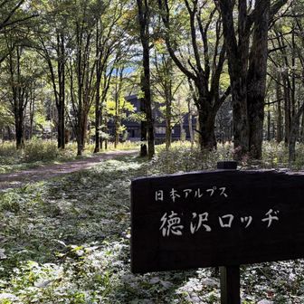 いつかは