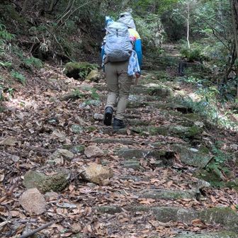 石積みの地味な階段がつづく
