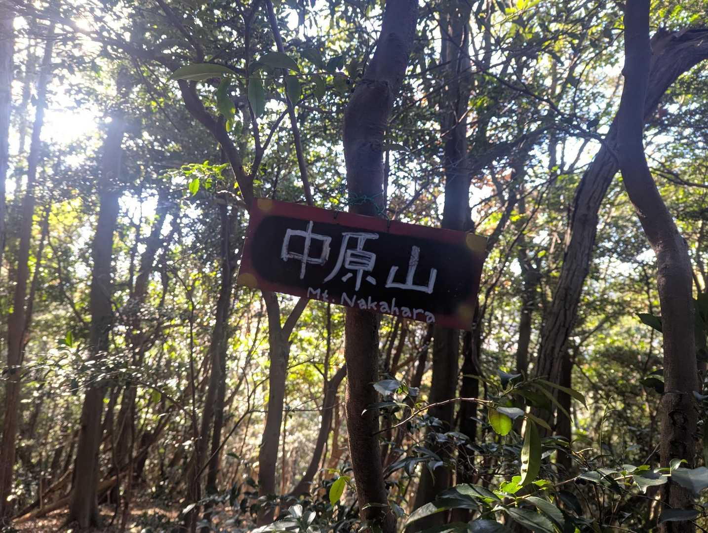 中原山