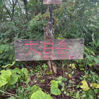 大日岳のもう一つ山名板⛰️
