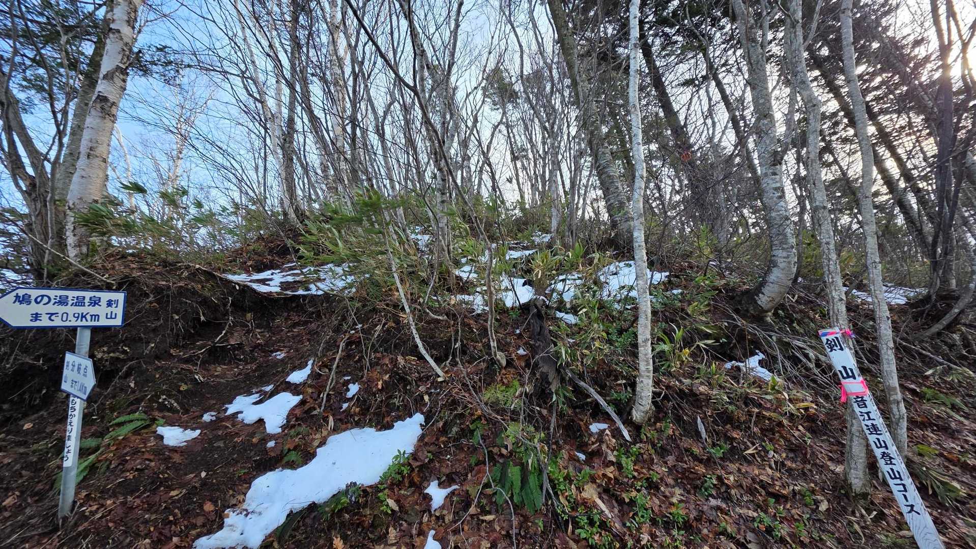 ここでもピークはカウントされるけど、上に行ったことがないお二人なので、夏は藪だし眺望ナシだけど行ってみますか🤭
