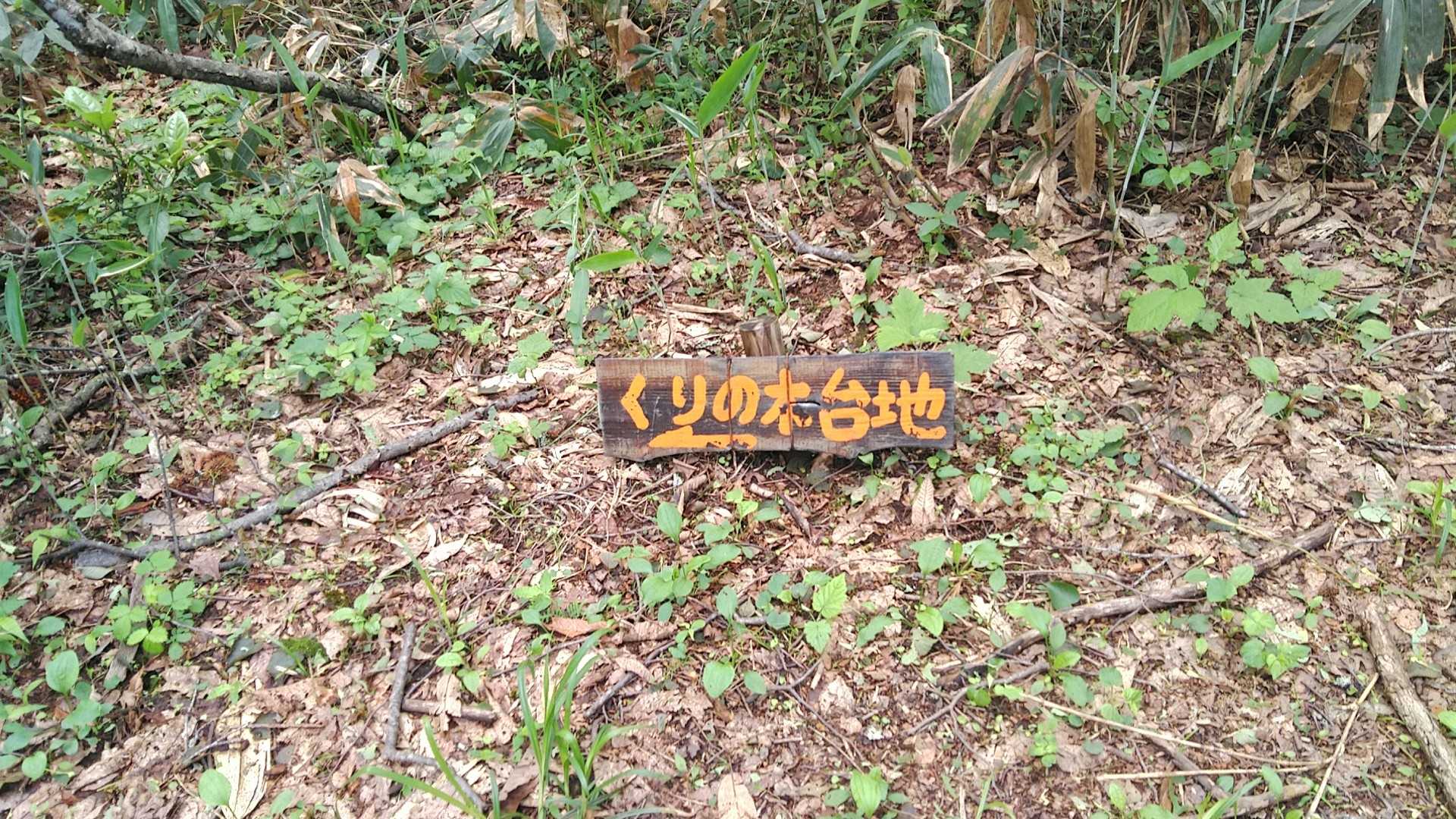 くりの木台地の看板