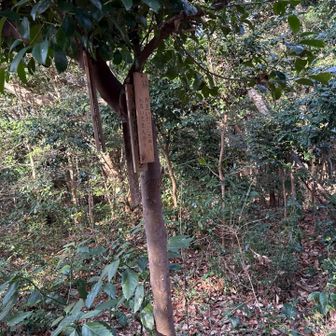 古川山にとって返して何か格言？親父の小言？が書いてあります。