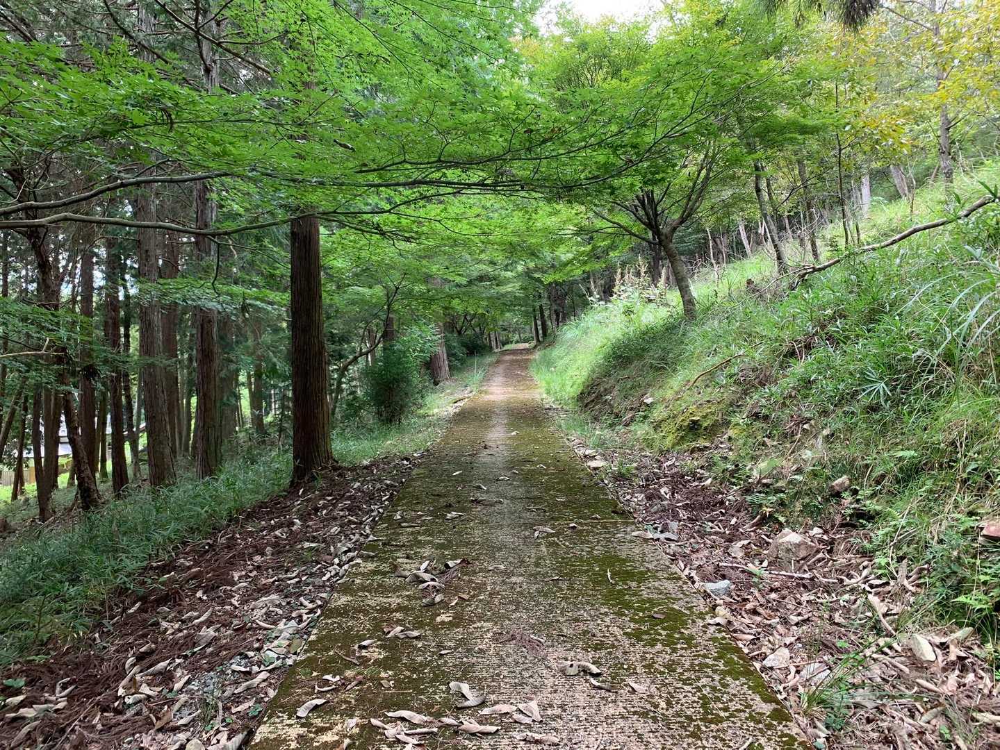 防獣柵を開けて入ります
ここは上笹古墳まほろばの森🌳として整備されていて、YAMAP地図に載っていないルートがあります