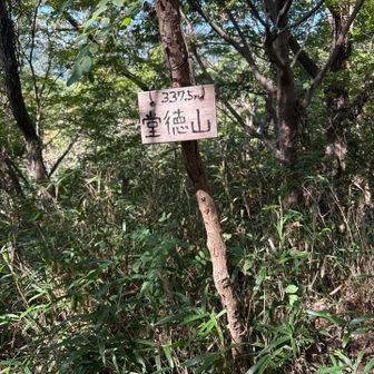 戻って堂徳山山頂