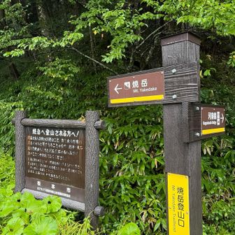 今日は焼岳。