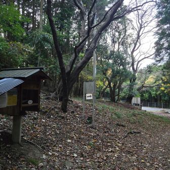 下山しました🙌