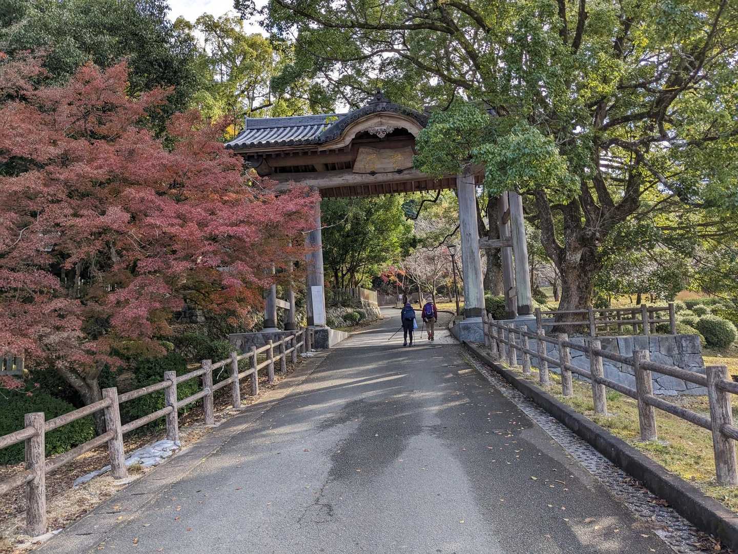 ここから８枚は、添田公園の紅葉です