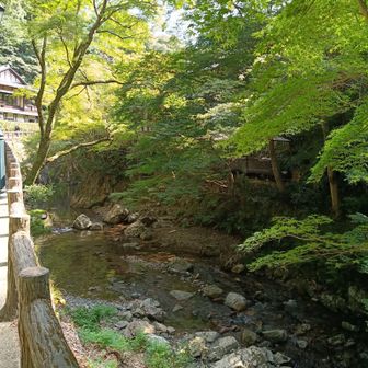 川沿いは涼しいですよ😊
