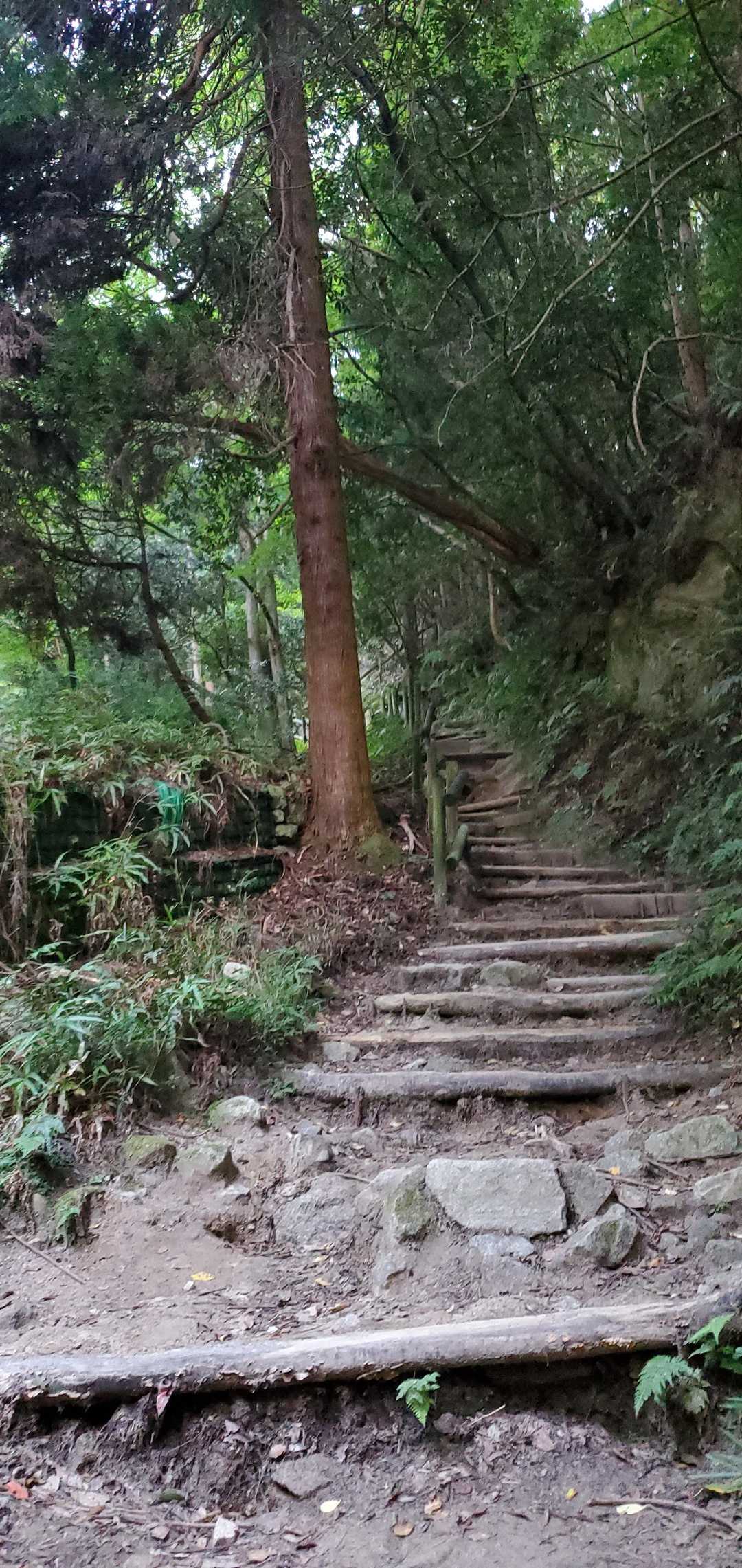 大文字山｜京都・夏の風物詩の舞台をめぐる山歩道から市街を一望の写真
