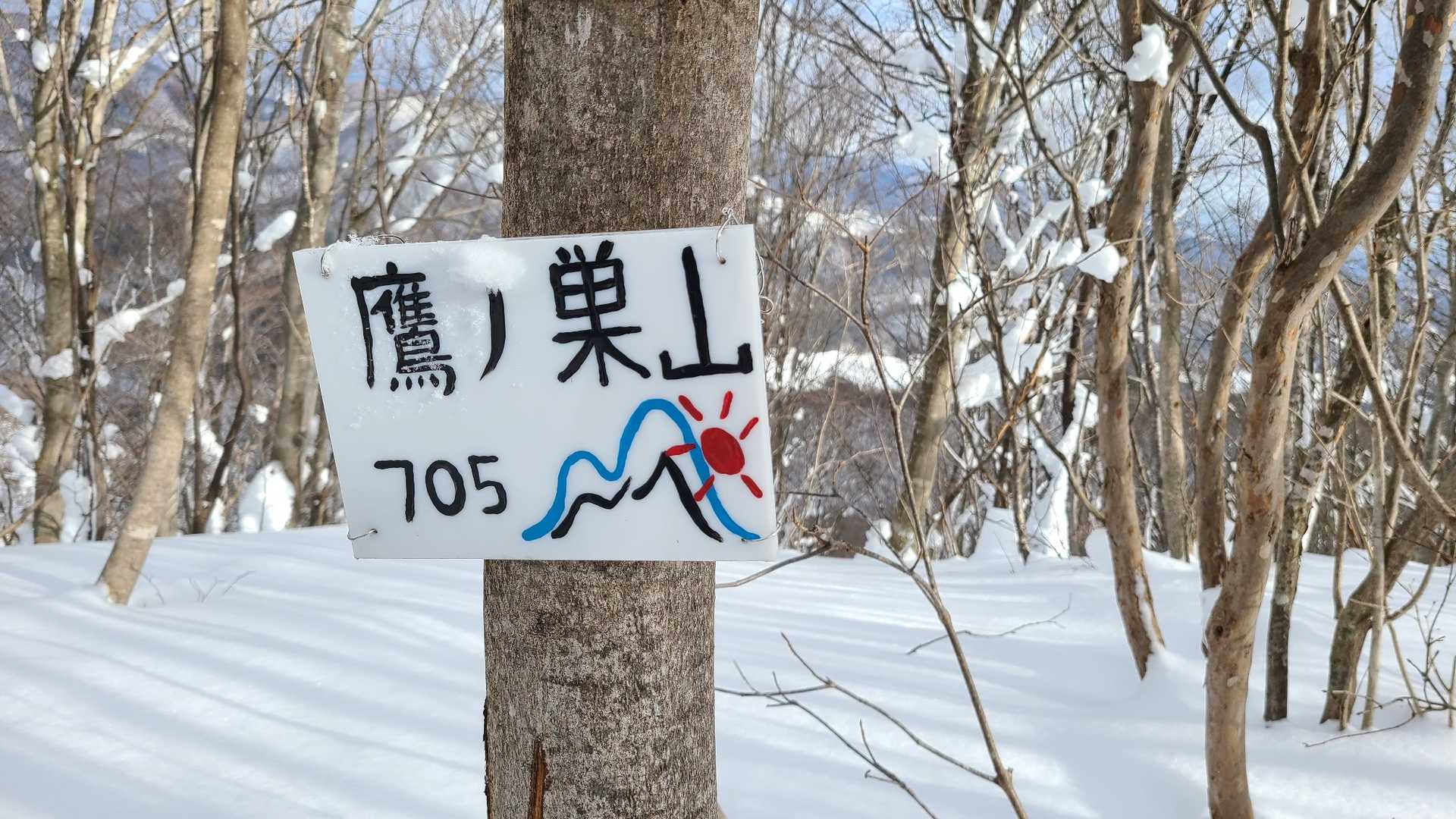 鷹ノ巣山山頂🙌　705ｍ
