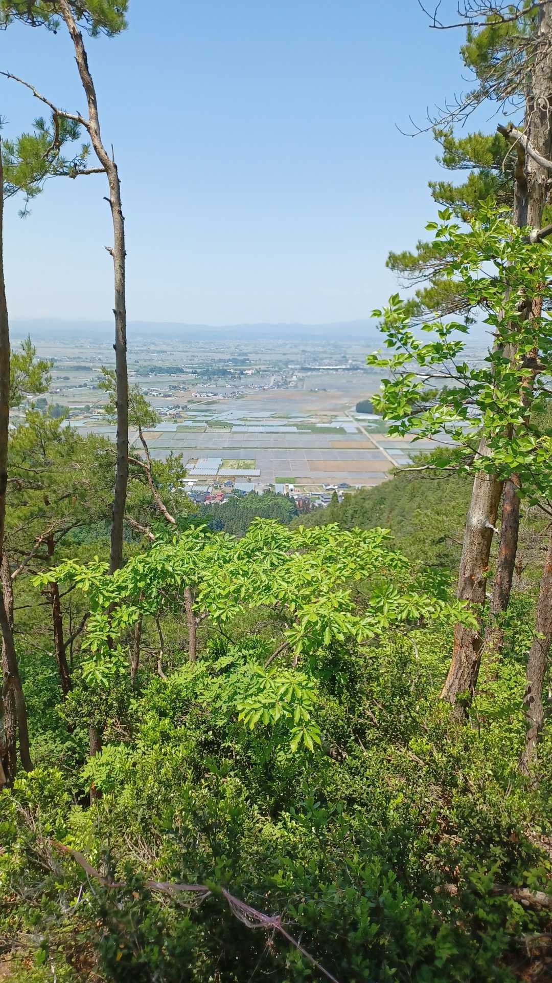 文珠山 往復コースの写真