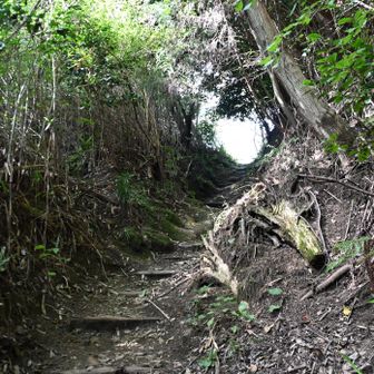 岩屋峠コース、