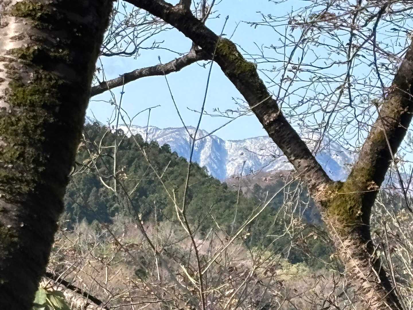 雪が降って白い丹沢