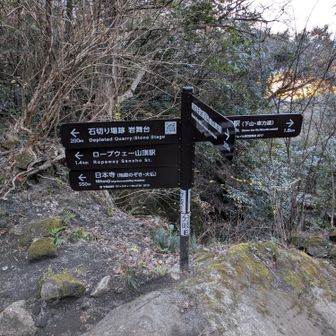 この分岐で地獄のぞき・大仏方向に向かいましたがお寺の看板？のところで通行止め🚧泣く泣く今回は断念しました…😥