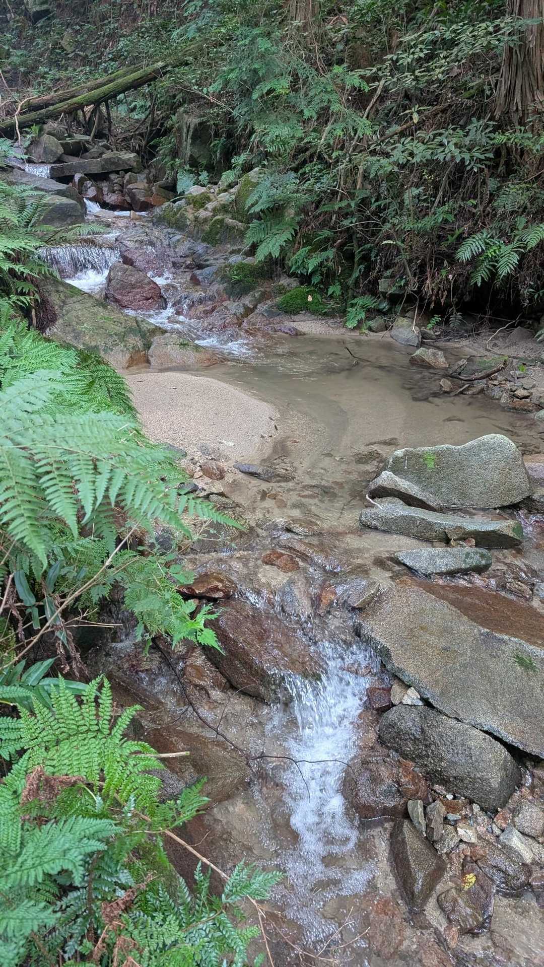 沢〜