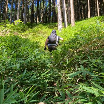 藪漕ぎ