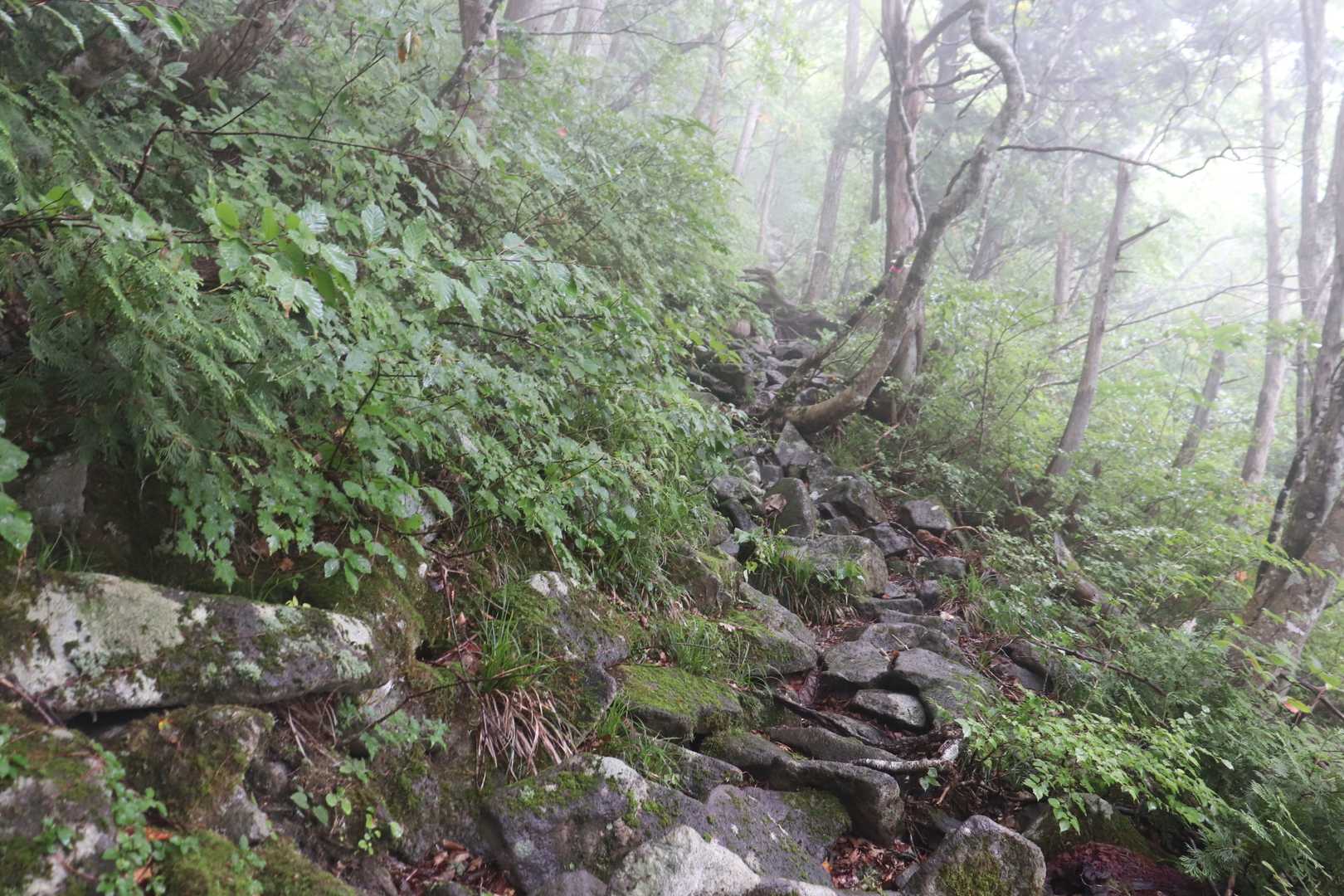 ここからガレ場スタート　雨☔️が強くなる