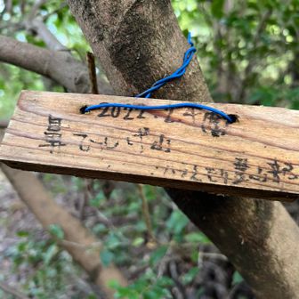 この看板は、教えてもらわなかったら気づかなかったや