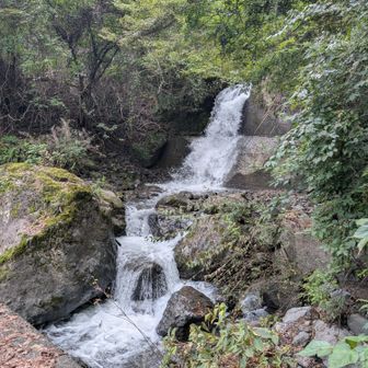 どこも水量が多くて、素晴らしい✨️