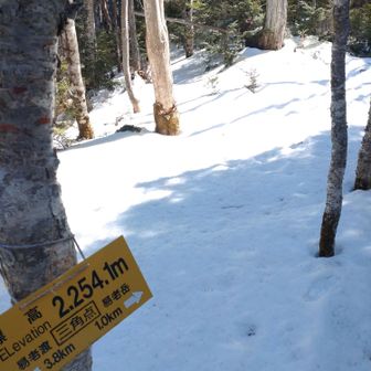 締まった雪でスタスタ歩くと🚶