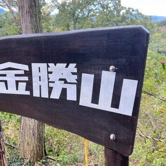 前金。山がズッコケてない？