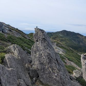 ホシガラスと層状チャート