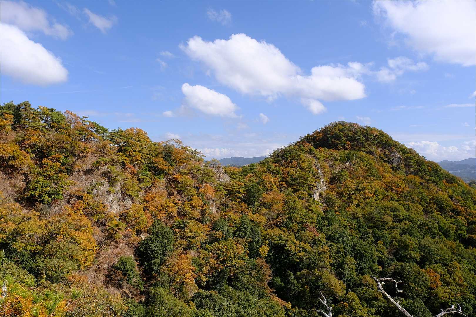 右手の山が先程登った三床山⛰
少し色付いて来ました。