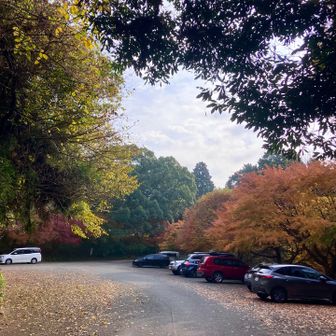 転けずに　駐車場🅿️へ着きました😄… ありがとうございました🙇