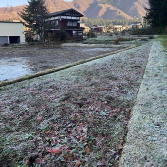 日陰は真っ白な霜✨✨