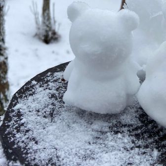 👍🐻
この子なら出会っても歓迎🤍