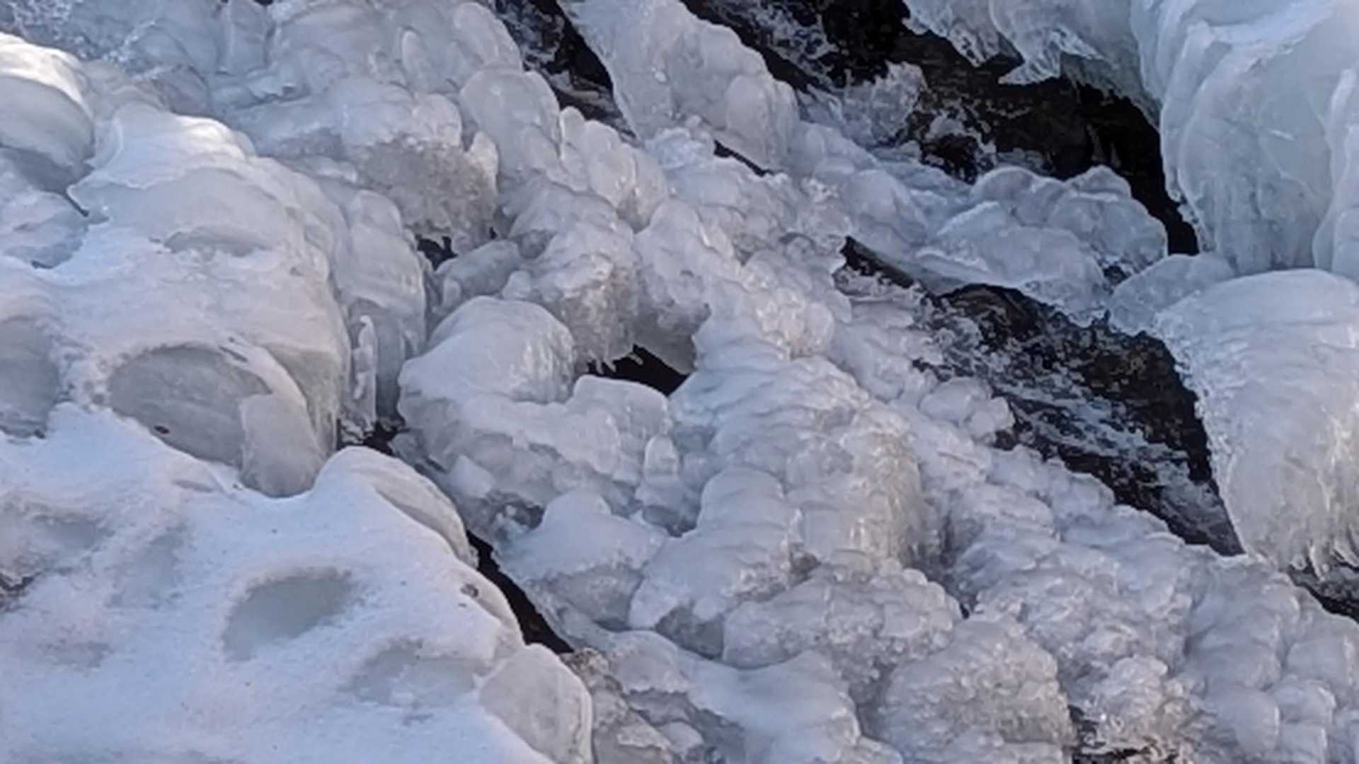 鉢伏山 周回コースの写真